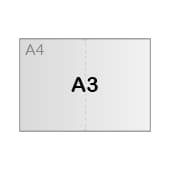 Format A3