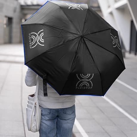 Opvouwbare paraplu's, zwart