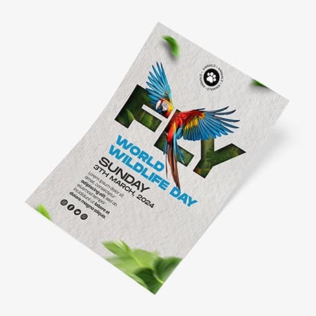 Milieuvriendelijke posters