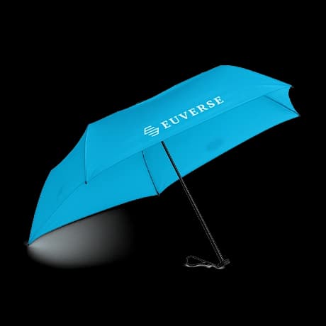 Vouwparaplu's mini