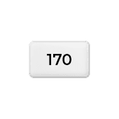 170 g mat gestreken papier