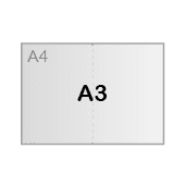 32,7 x 45 cm (A3-formaat)