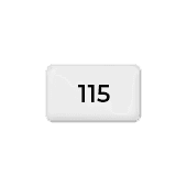 115 g posterpapier/blueback