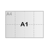 Format A1