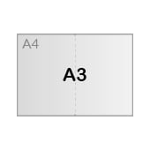 A3 (29,7 x 42 cm)