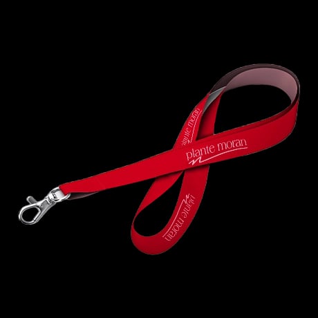 Standaard lanyards