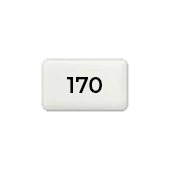 170 g gerecycled papier